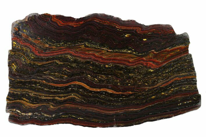Polished Tiger Iron Stromatolite Slab - Billion Years #163116